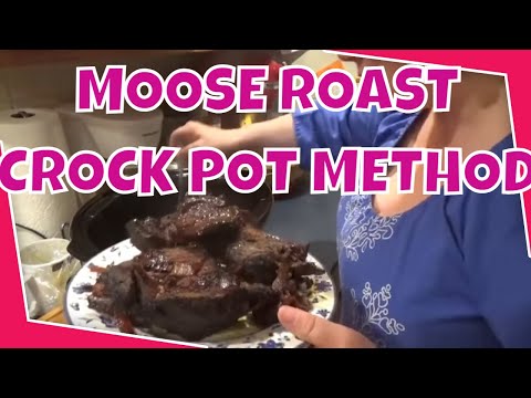 download lagu mp3 mp4 Cooking Moose Roast, download lagu Cooking Moose Roast gratis, unduh video klip Cooking Moose Roast