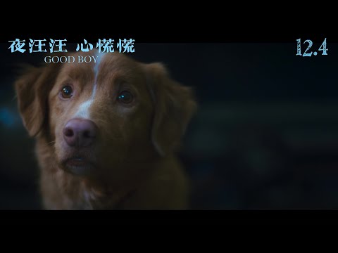 夜汪汪 心慌慌電影海報