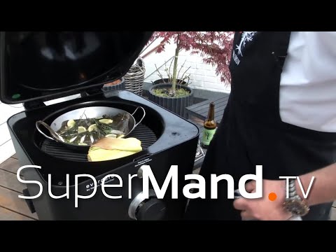 Hr. Skov - Den lille Troldmand fra Blåvand (Grill Heston Blumental)