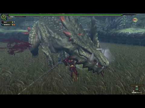 Monster Hunter Frontier G: Goushu Rank Abiorugu (1player)