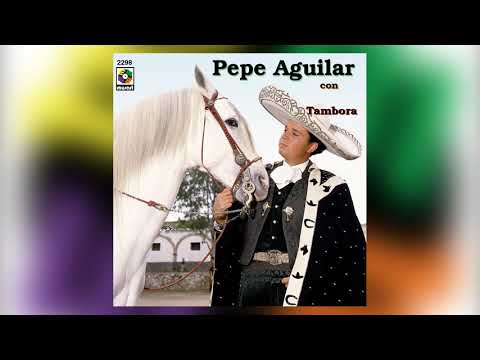 Que Me Lleven A La Carsel - Pepe Aguilar
