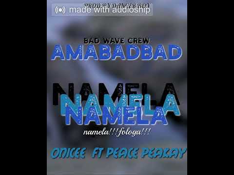Onicee feat Peace PeaKay - NAMELA [prod.by Danger Boy]