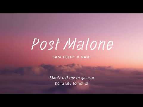 Vietsub | Post Malone - Sam Feldt, RANI | Lyrics Video