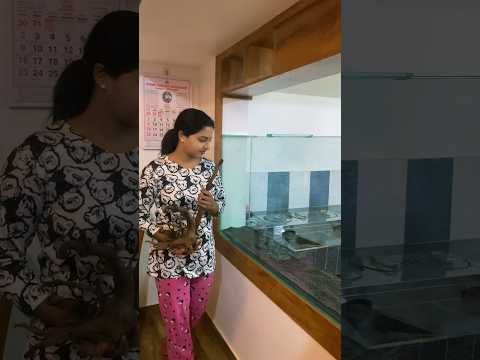 ഒരു sandfall ഉണ്ടാക്കി 😜 | #new #diy #craft #minivlog #vlog #shorts