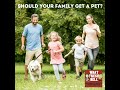Should Your Family Get a Pet?
