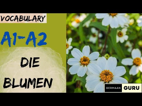 Die Blumen | Wortschatz