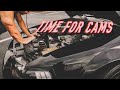 Buying a Cammed/Built Short block for my Terminator Cobra