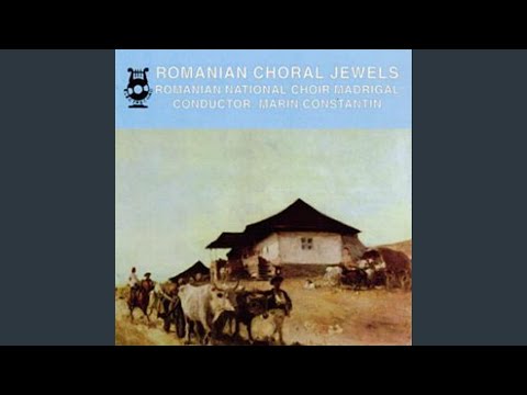 Doina olteneasca (Paul Constantinescu)