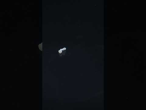 YouTube 썸네일