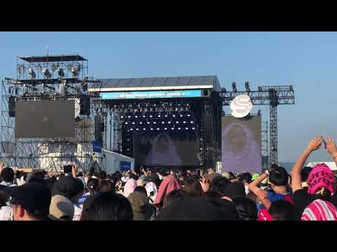 Alan Walker in Summer Sonic Osaka 2019