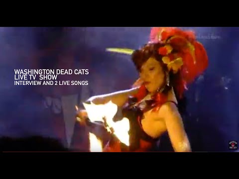 Washington Dead Cats interview and live on TV