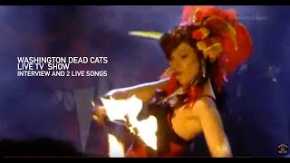 Washington Dead Cats interview and live on TV