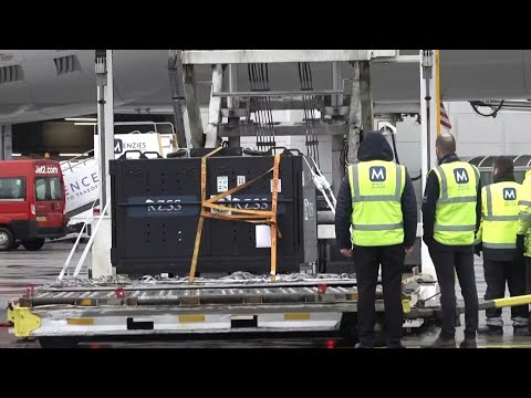 Edinburgh Zoo pandas loaded onto plane for their return to China | AFP
