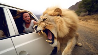 If You're Scared of Wild Animals, Don't Watch This Video!
