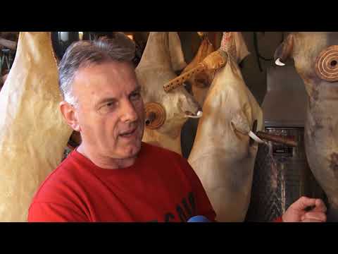 Dalmacija moga oka 20.11.2017.