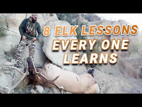 8 Lessons from 1,000+ Elk Hunters – What They Wish They Knew Sooner
