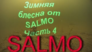 Зимняя блесна на окуня салмо