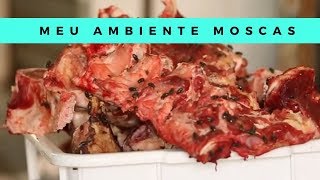Miniatura do vídeo