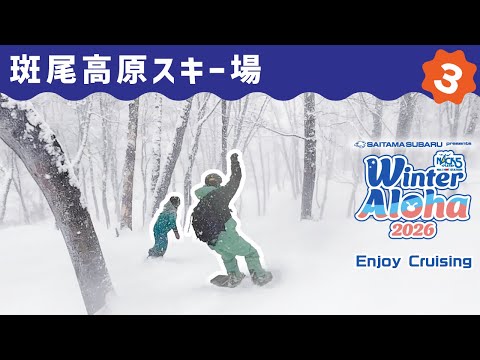 Video: ビッグスケールのゲレンデで、圧巻のパウダーを楽しめる！斑尾高原スキー場をご紹介