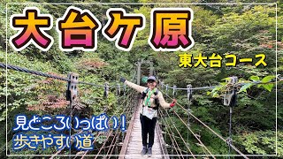 We walked around Odakigahara in Nara Prefecture. It was an easy hike and there were plenty of thi...