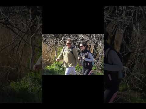 4 de diciembre de 2025