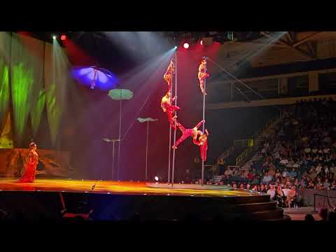 OVO - Cirque du Soleil 06