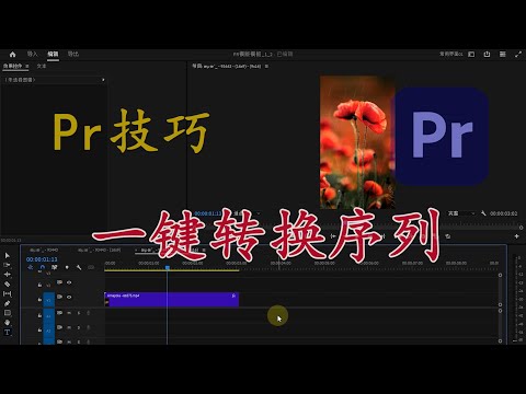 【Pr技巧】一键转换序列