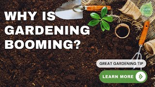 Why Gardening Is Booming in 2025: Trends, Tips & Insights 🌱#homegardening #garden #gardentips