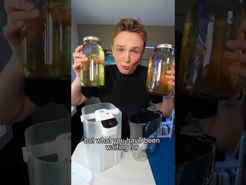 Brita vs Waterdrop!