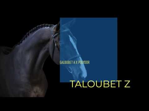 Taloubet Z