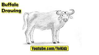 How to draw a BUFFALO for kids