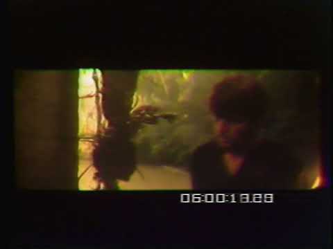 afbeelding DENNIS HOPPER * MISSING DEATH SCENE IN APOCALYPSE NOW !