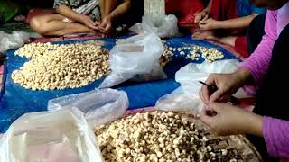 Download lagu Tehnik Membersihkan    Biji Mentek Dengan Cepat mp3