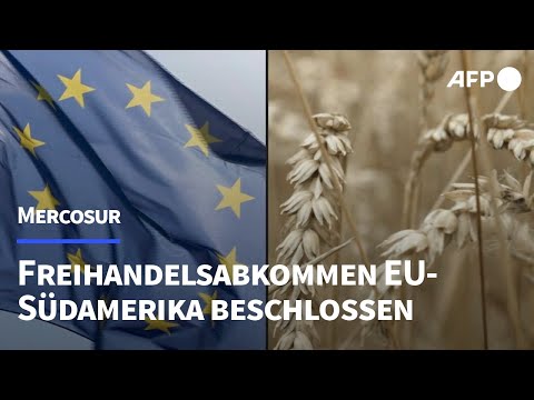 EU-Länder stimmen Mercosur-Freihandelsabkommen zu | AFP