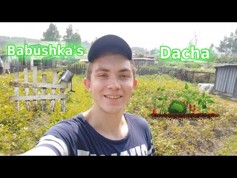 Welcome to my babushka's dacha
