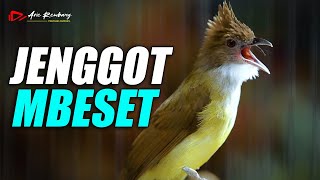 Download lagu MASTERAN CUCAK JENGGOT GACOR mp3