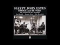Sleepy John Estes - Broke And Hungry