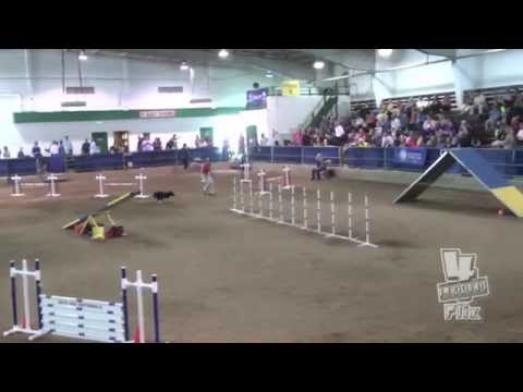 200628 PREMIER AKCNAC2015