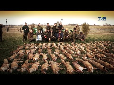 Darz Bór odc. 89 - Pokot w Uniejowie i zaproszenie do Norymbergi