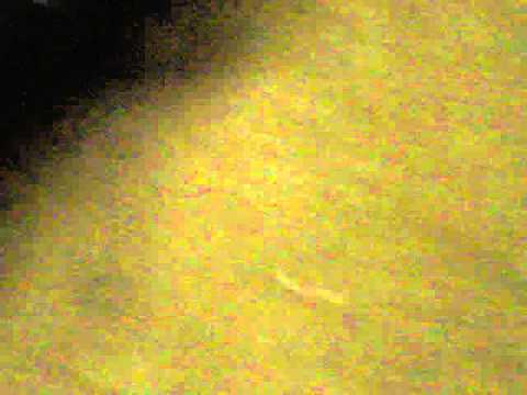 Linense e Palmeiras paulistão 2012