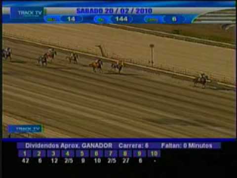 Resumen Sábado 20 de Febrero 2010 - La Rinconada
