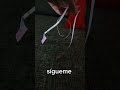 Poppy Playtime VHS The Ally