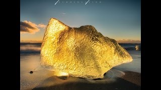 GONE IS GONE | &quot;ECHOLOCATION&quot; | ALBUM REVIEW