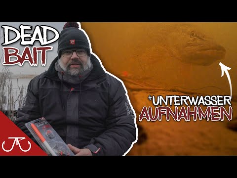 HECHTANGELN MIT TOTEM KÖDERFISCH! | „unglaubliche Unterwasseraufnahmen“