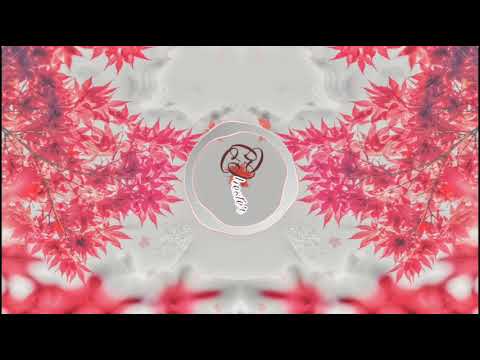 Scorpiioh - Hacking The Gate (w/ IN$OMNIAK & Matonges)