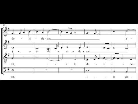 Sicut Cervus - Tenor Predominant