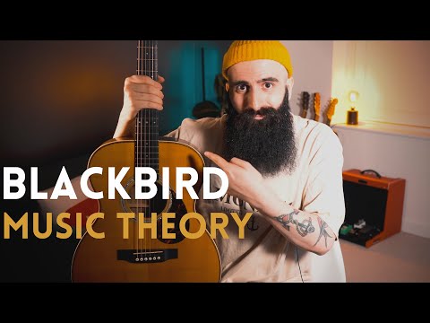 BLACKBIRD Harmonic Analysis (Beatles Blackbird MUSIC THEORY) | Advanced Music Theory Lesson