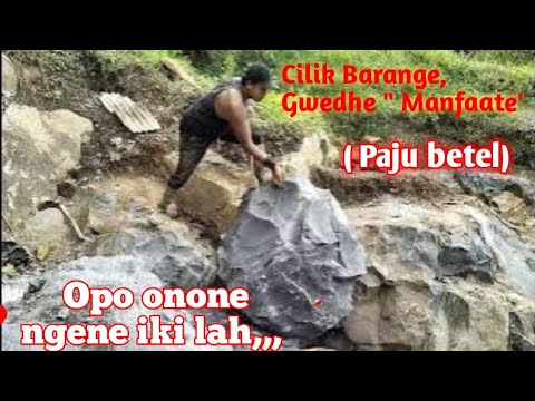 Ternyata Pakai Paju kecilnya, Ahirnya Bisa Terbelah Batu nya