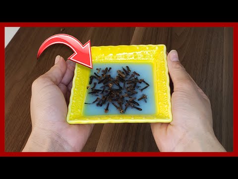 Despídete del Olor a Humedad y de los Malos Olores, con este Potente Ambientador, tu casa Olerá Rico