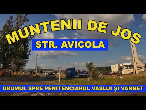 Muntenii de Jos str Avicola drum spre penitenciarul Vaslui si ferma de pasari Vanbet video aug 2022